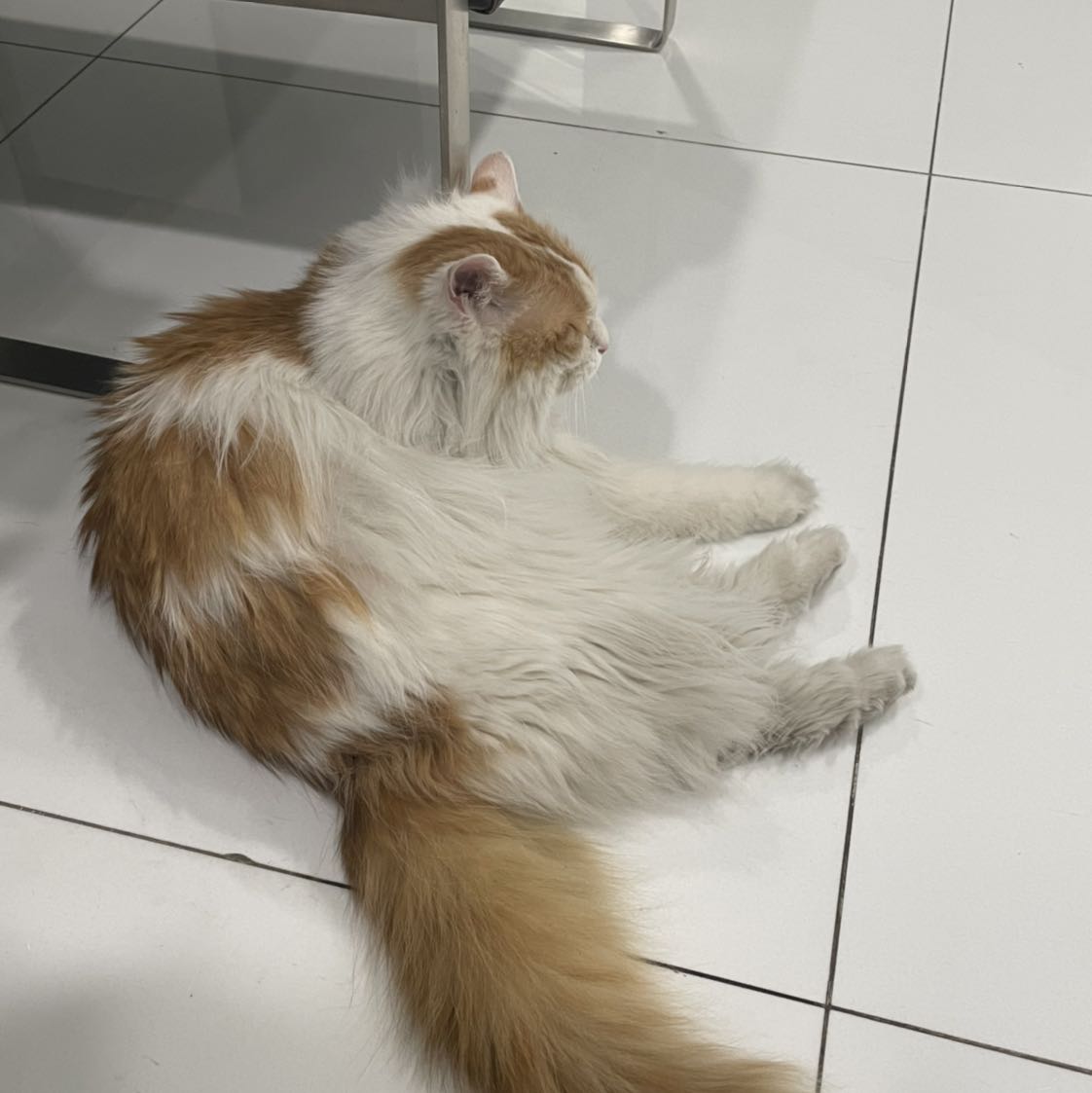 只能反复安慰自己