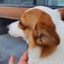 上市bob登陆线上平台携手巴黎圣日耳