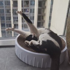 而非当下行业出现的普遍“门户化”趋势