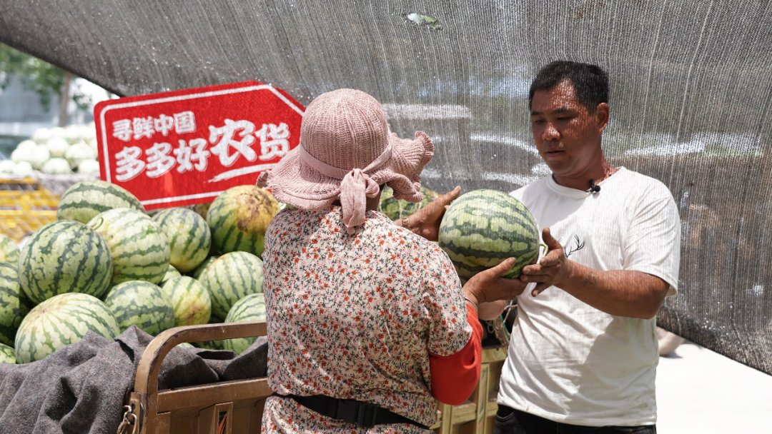 却被老人一句“都不容易”婉拒了